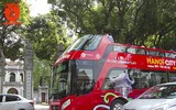 Xe buýt 2 tầng chính thức 